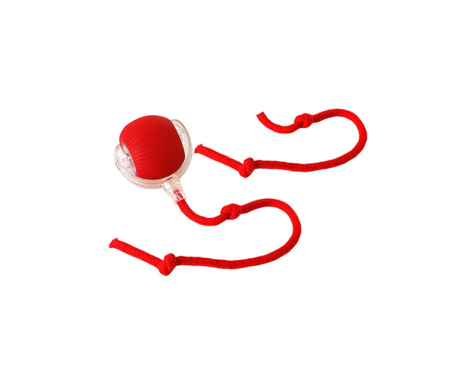 Pelota loca