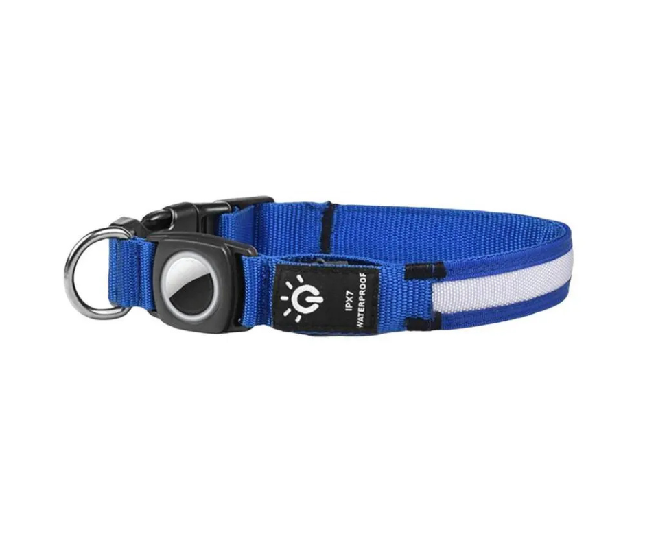 LuzCan-collar