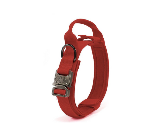 Collar alpha