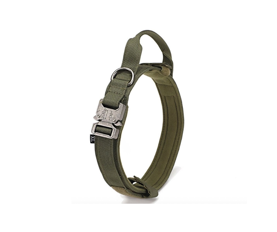 Collar alpha