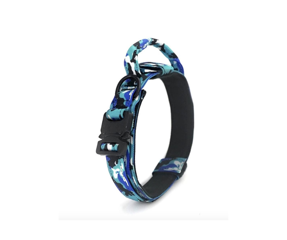 Collar alpha