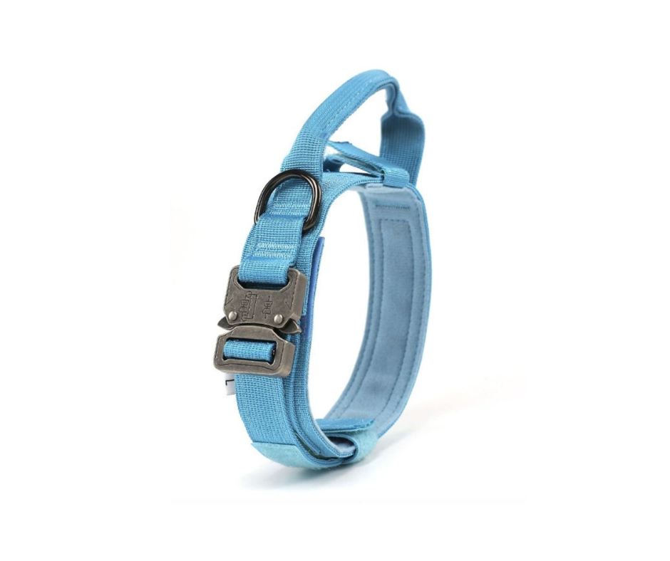 Collar alpha