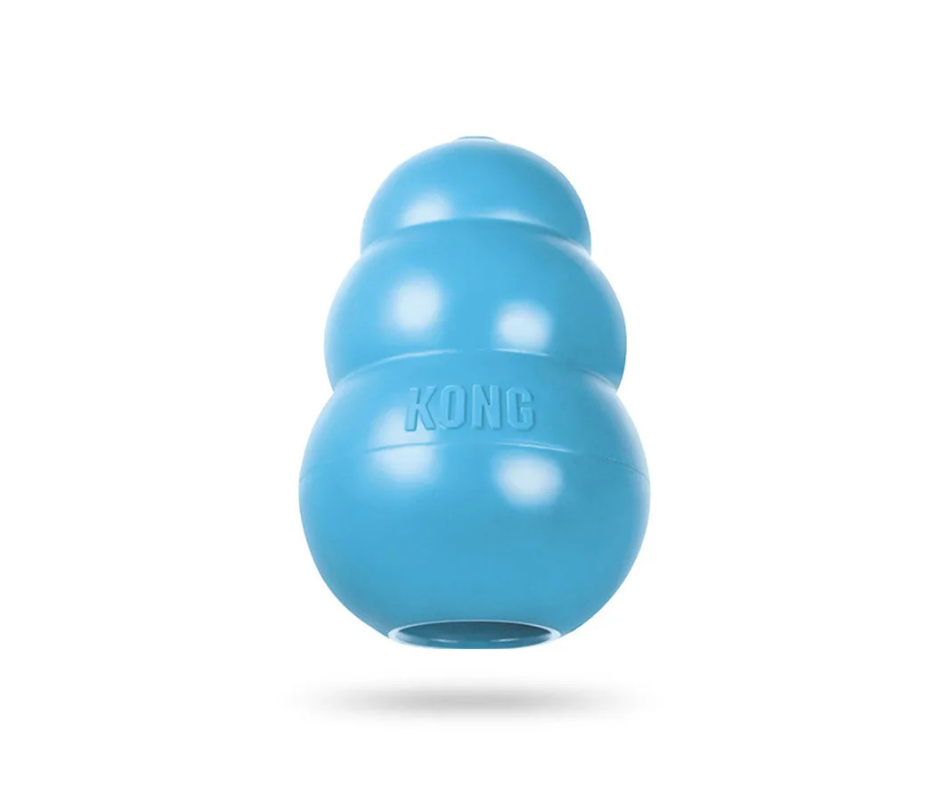 Kong