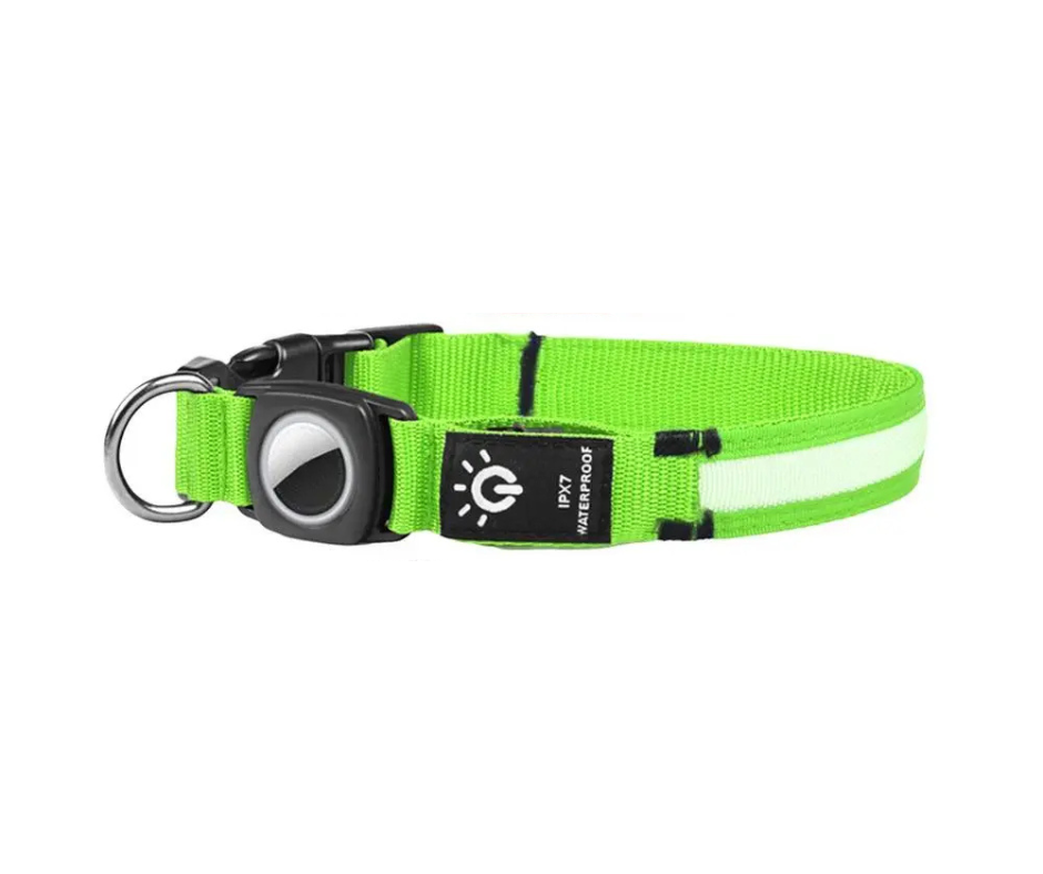 LuzCan-collar