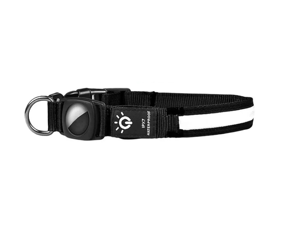 LuzCan-collar