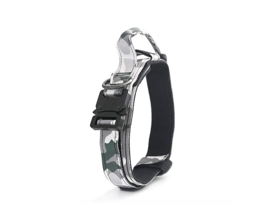 Collar alpha