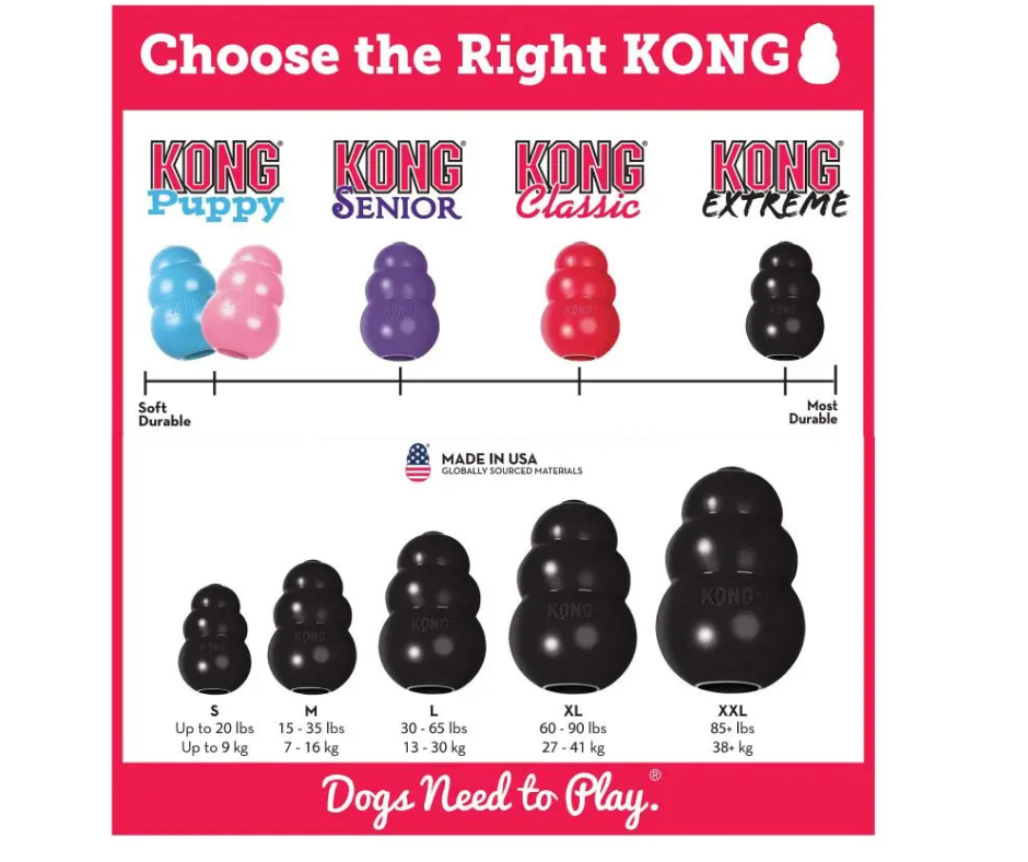 Kong